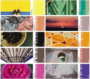 31180268_440664689697665_7283893951352799232_o